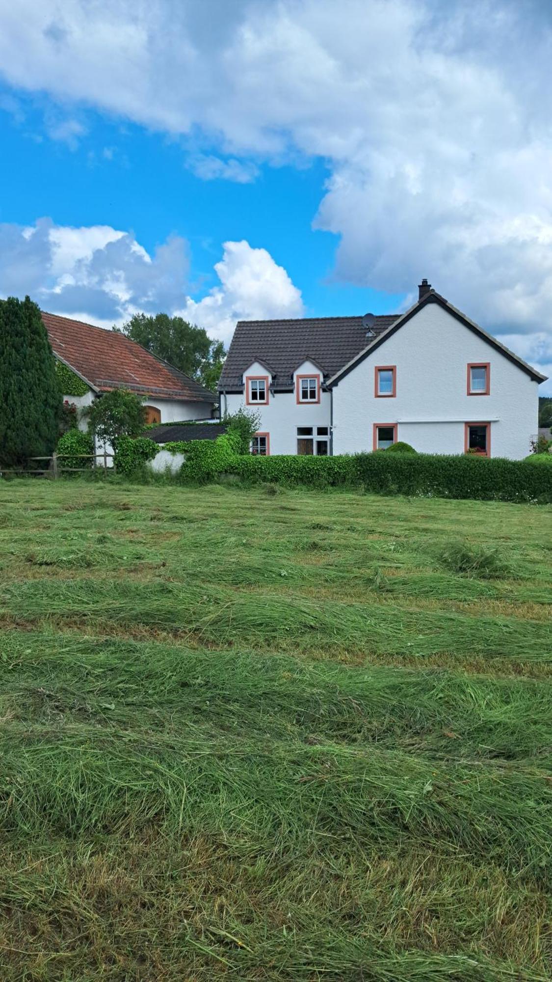 Ferienwohnung Eifelgold Esch Esch  Bagian luar foto